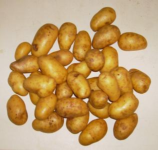 Tiny New Potatoes