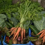 veg-boxes-camel csa  29-09-09