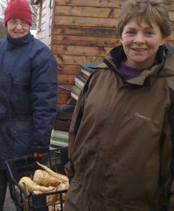 parsnip-harvest-camel-csa 27-11-09