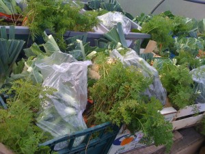 seasonal-veg-boxes-camel-csa 27-11-09