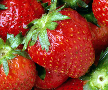 strawberries-camelcsa-090610