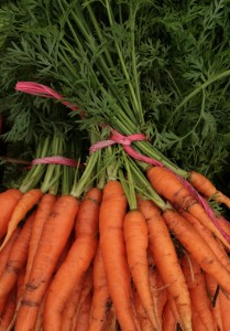 carrot bunch-camel csa