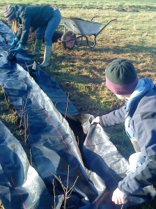 Mulching-camel-csa-090111 2