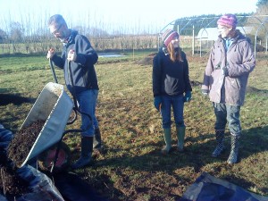 Mulching-camel-csa-090111 3