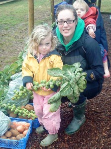 Picking-packing-veg-boxes-camel-csa-070111