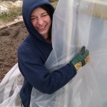 First polytunnel cover 06-03-11 17 First polytunnel cover 06-03-11 17