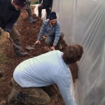 First polytunnel cover 06-03-11 21 First polytunnel cover 06-03-11 21