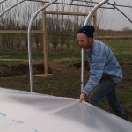 First polytunnel cover 06-03-11 6 First polytunnel cover 06-03-11 6