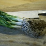 spring-onions-camelcsa