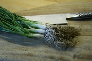 spring-onions-camelcsa