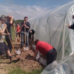 Polytunnel cover 2 02-06-11 Polytunnel cover 2 02-06-11