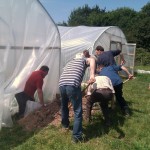 Polytunnel cover 3 02-06-11 Polytunnel cover 3 02-06-11