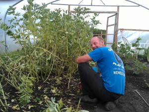 broad-bean-clearing-camelcsa-140613
