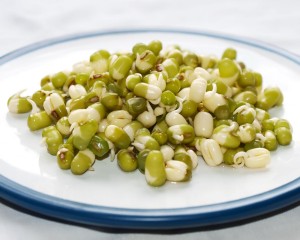 mung-beans-sprouted-camelcsa