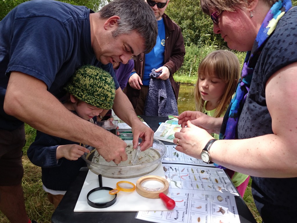 OFS2014-pond-dipping2-camelcsa