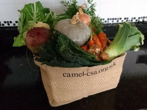 jute-veg-box-camelcsa-140118