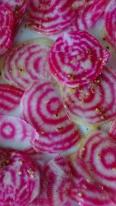 chioggia-beetroot-salad-camelcsa-150818