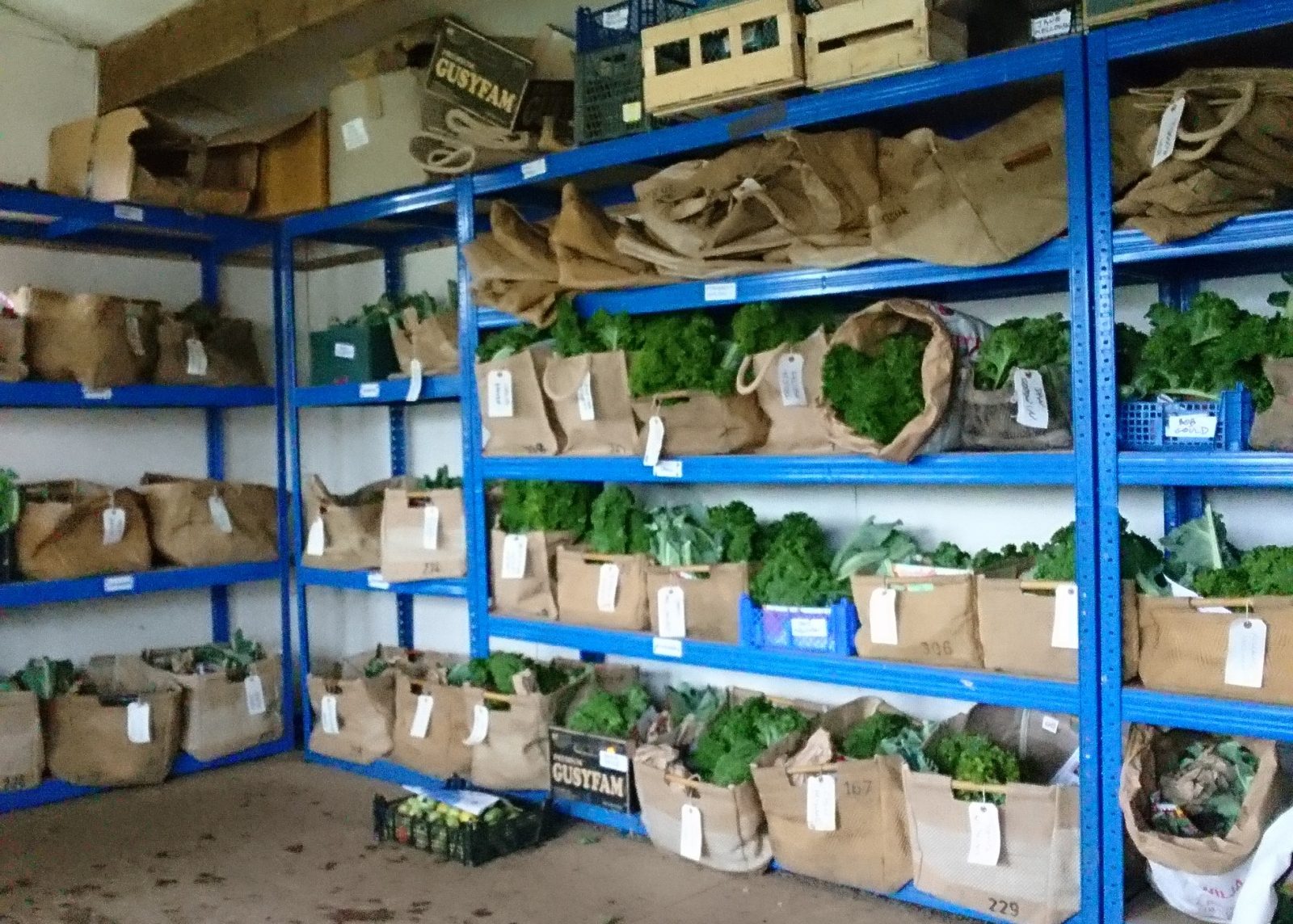 veg-boxes-packing-shed-camelcsa-091118