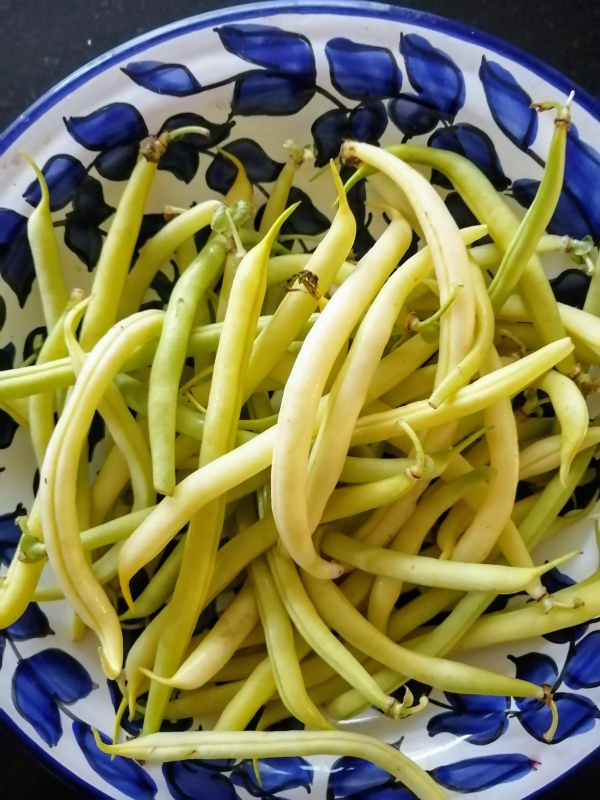 French-beans-oloroso-camelcsa-170721
