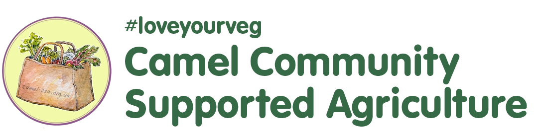 Camel CSA