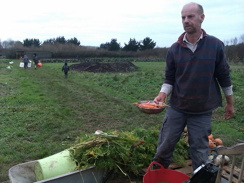 carrot-weighing-camescsa-221211