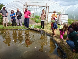 OFS2014-pond-dipping1-camelcsa