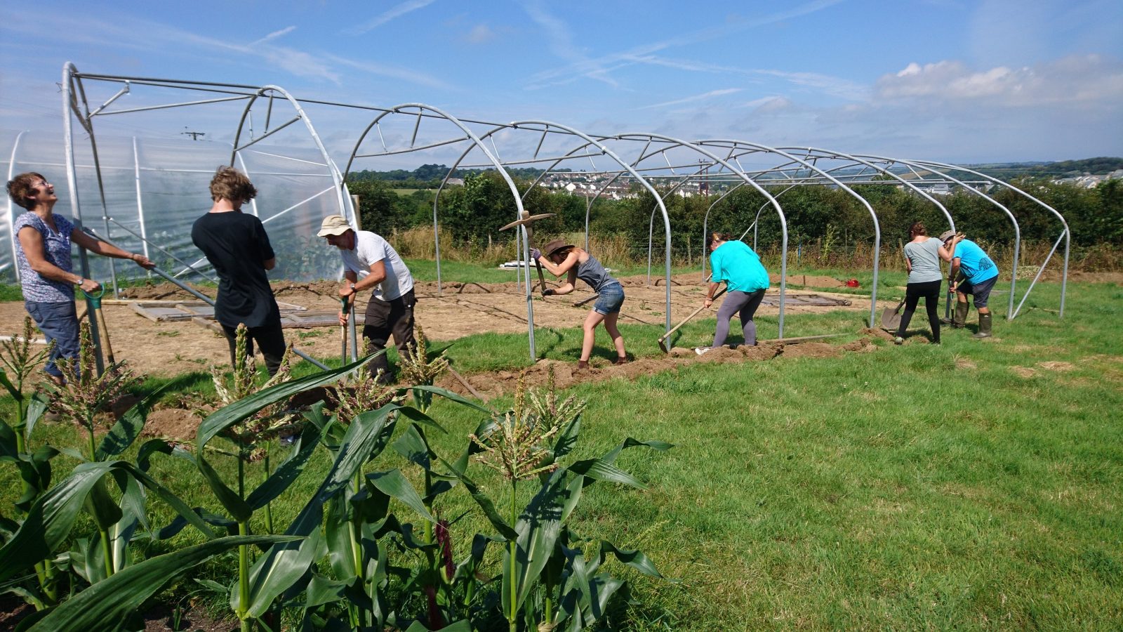 trench-digging-polytunnel-camelcsa-250719
